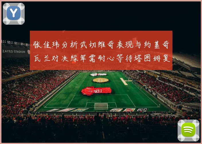 张佳玮分析武切维奇表现与约基奇瓦兰对决绿军需耐心等待塔图姆复出