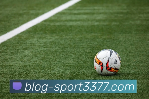 3377体育APP 封面图